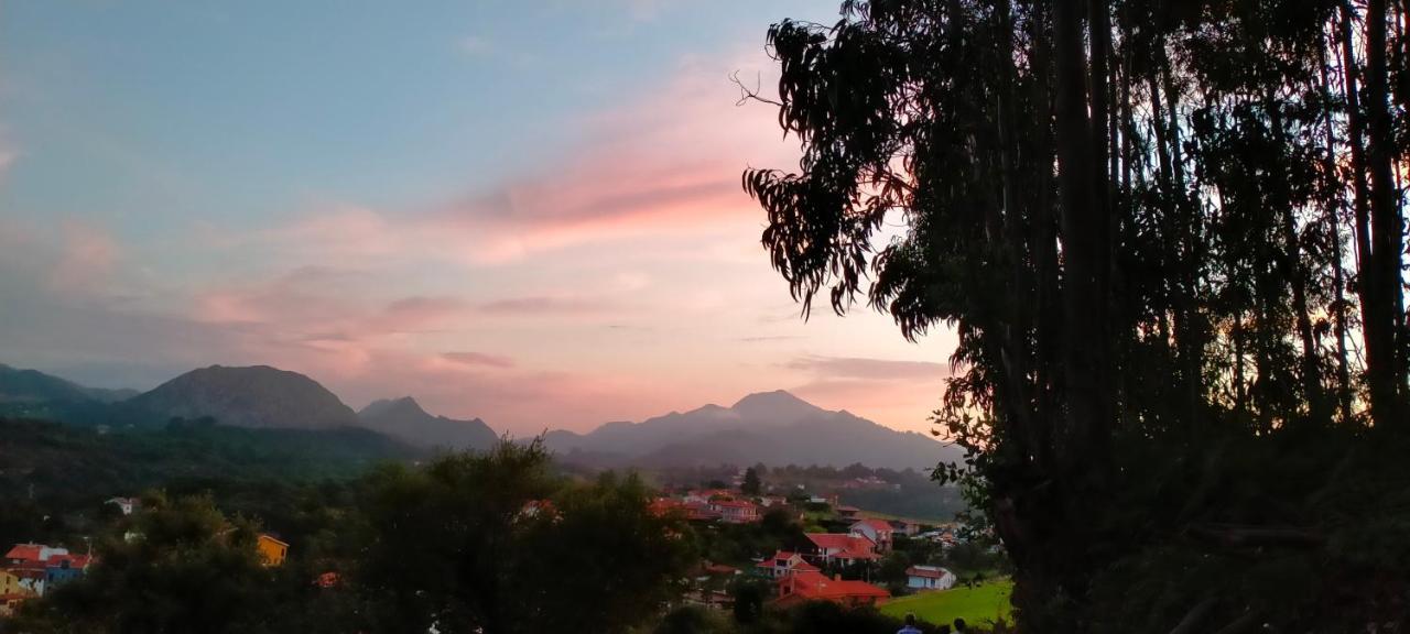Tiu Xico Guest House Terenes ภายนอก รูปภาพ