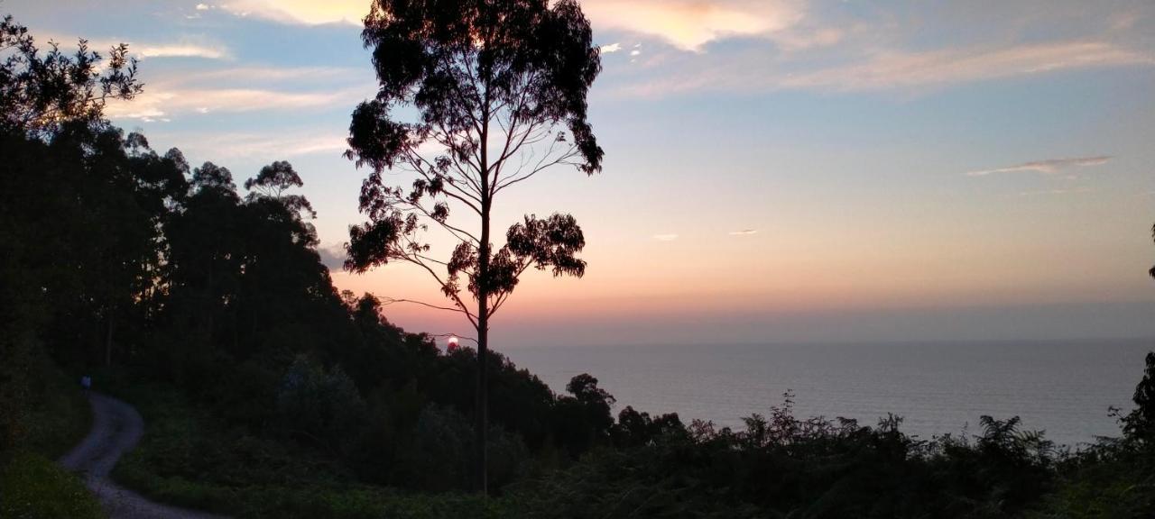 Tiu Xico Guest House Terenes ภายนอก รูปภาพ