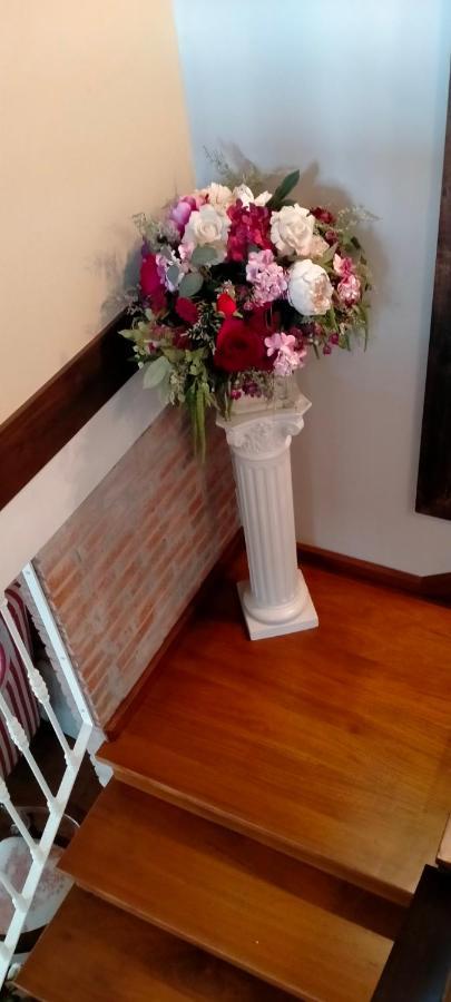 Tiu Xico Guest House Terenes ภายนอก รูปภาพ